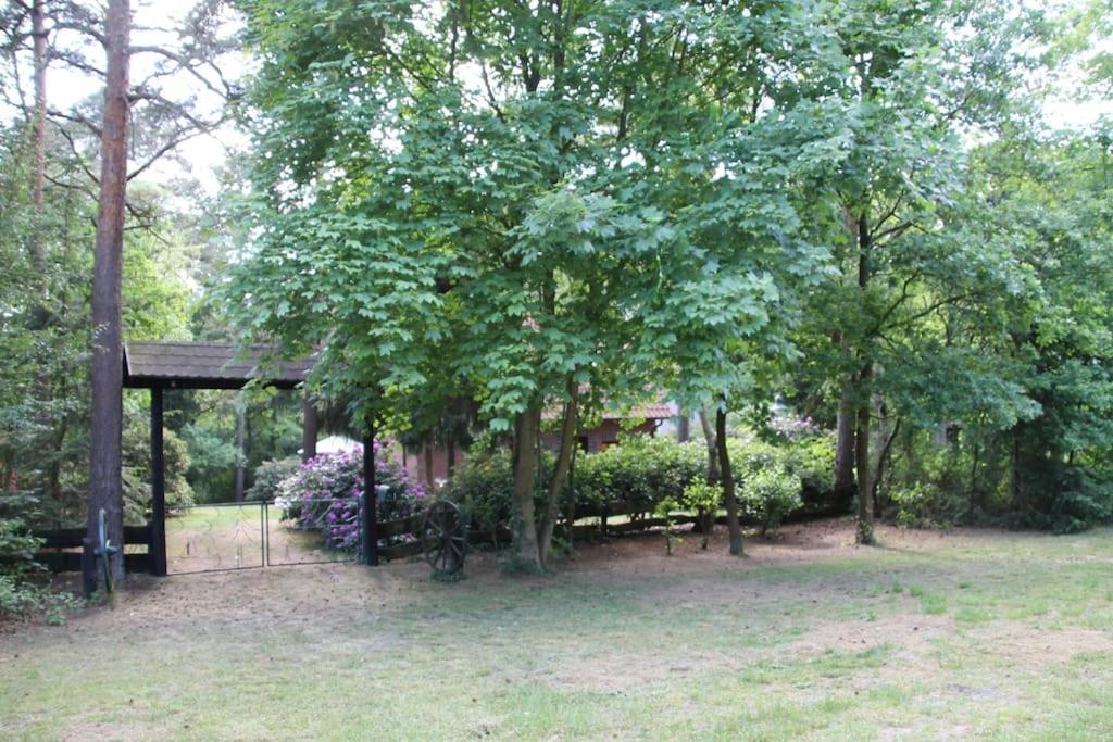 Ferienhaus Am Waldesrand Hatten ภายนอก รูปภาพ
