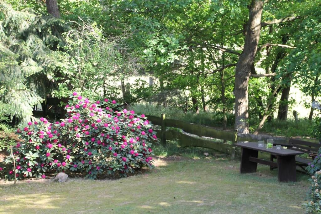 Ferienhaus Am Waldesrand Hatten ภายนอก รูปภาพ